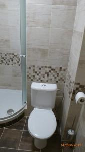 a bathroom with a toilet and a shower at Penzion Sklář in Nový Bor