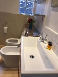 ein Bad mit einem Waschbecken und einem WC in der Unterkunft Marble Apartments Tooting House in London