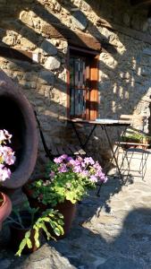 Zahrada ubytování Maritsa Lodge