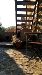 een stoel en bloemen naast een gebouw bij Maritsa Lodge in Kakopetria