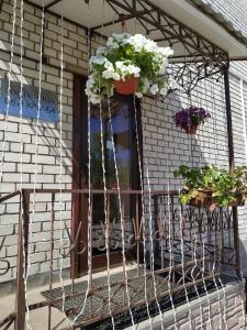 a porch with two potted plants and a window at Dva Kryla Inn in Yaroslavl