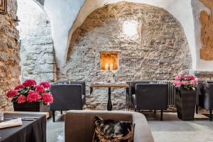 a dog sitting in a chair in a restaurant at Meriton Old Town Garden Hotel in Tallinn