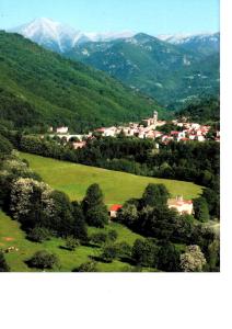 une ville dans un champ verdoyant avec des montagnes en arrière-plan dans l'établissement Maison Baxter, à Prats-de-Mollo-la-Preste