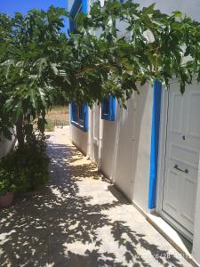 Fotografie z fotogalerie ubytování Soula appartments v destinaci Makrigialos