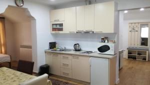 Кухня или мини-кухня в Apartments Dedic
