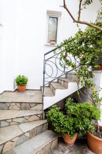 A garden outside Casa bianca μεζονέτα με θέα στη θάλασσα