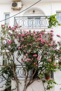 A garden outside Casa bianca μεζονέτα με θέα στη θάλασσα