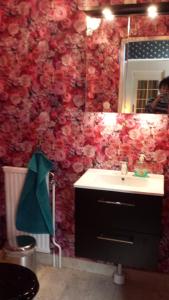 a bathroom with a sink and a mirror at Villa Signedal Hostel in Kvidinge