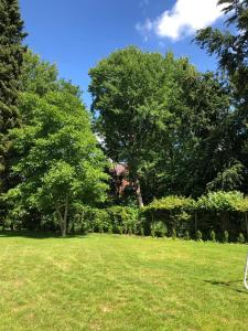 un campo de césped con árboles en el fondo en Ferienhaus Bäk-Ratzeburg, en Bäk