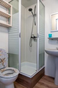 a bathroom with a shower and a toilet and a sink at Vakantiehuis Duin Bos en Zee in Schoorl