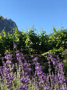 Loodusmaastik of the bed and breakfast lähedal