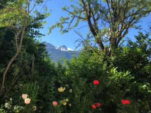 Loodusmaastik of the bed and breakfast lähedal