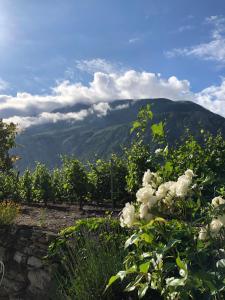 Loodusmaastik of the bed and breakfast lähedal