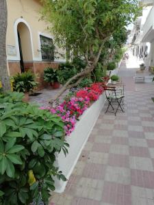 Hotel Avenida 31, Marbella – Updated 2022 Prices
