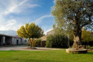 a house with two trees in a yard at Agro-Turismo - Quinta do Pinheiro in Cavadoude
