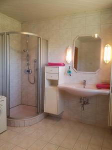 La salle de bains est pourvue d'une douche, d'un lavabo et d'un miroir. dans l'établissement Apartment Vorderstoder, à Rossleithen