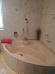 a white bath tub with a shower in a bathroom at Apartment Vorderstoder in Rossleithen