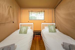 twee bedden in een tent in een kamer bij Valleyside Escapes in Tiverton