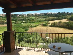 a balcony with a view of a vineyard at B&B Land & Sea in Campofilone
