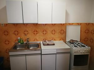 Kuchyňa alebo kuchynka v ubytovaní Vukotić Beach house