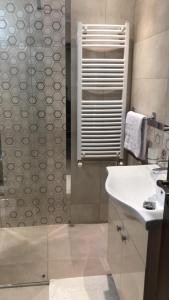 bagno con lavandino e doccia in vetro di Apartament Central Dioda Deluxe a Sibiu