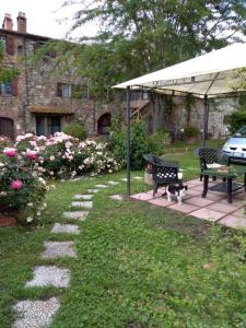 um jardim com um banco e um gato sob um dossel em Castello di Casallia em Vetulonia