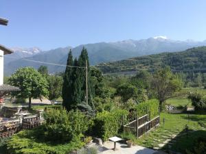 a view of a garden with mountains in the background at Agriturismo al pra di muriet in Susa