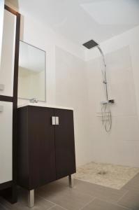a bathroom with a shower with a sink and a mirror at Le Clos des Salins in Toulouse