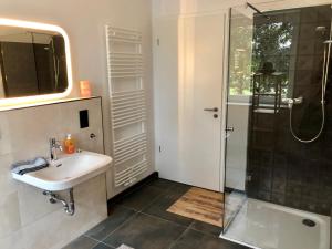 ein Bad mit einem Waschbecken und einer Dusche in der Unterkunft Ferienwohnung Hünzingen in Walsrode