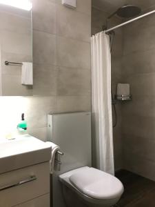 La salle de bains est pourvue de toilettes, d'un lavabo et d'une douche. dans l'établissement Hotel Krone Lenk, à Lenk im Simmental
