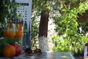 Vonkajšia záhrada v ubytovaní ORANGE GARDEN