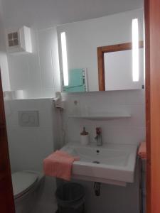 een badkamer met een wastafel, een toilet en een spiegel bij Familiengasthof Zirmhof in Malta