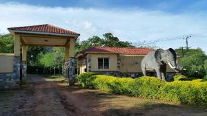 an elephant standing in front of a house at Mt Moroto Hotel in Moroto