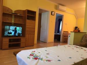 Televízia a/alebo spoločenská miestnosť v ubytovaní Green Park Apartment