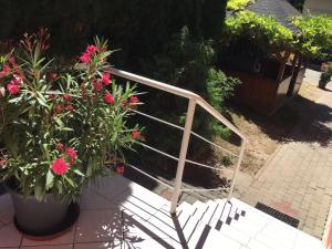 Vonkajšia záhrada v ubytovaní Green Park Apartment