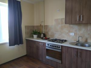 Comfortable apartments في روفنو: مطبخ مع مغسلة وموقد فرن علوي