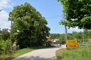Природа поблизу the country house