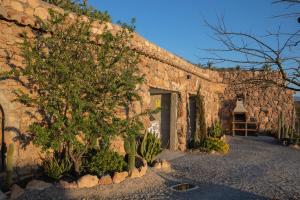 A garden outside Cuevas el Torriblanco