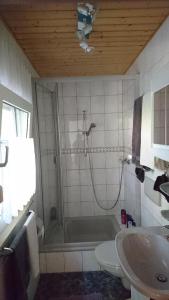 ein Bad mit einer Dusche, einem WC und einem Waschbecken in der Unterkunft waldhaus lioba in Zichtau