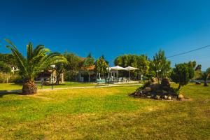 a park with a palm tree and a pile of rocks at Atlantis Studios in Toroni