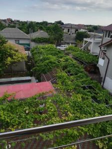 a garden on the roof of a house at Vila Andre in 2 Mai