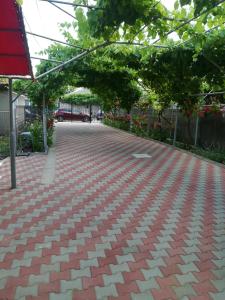 a red brick walk way with trees and plants at Vila Andre in 2 Mai