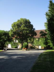 une route devant une maison avec un arbre dans l'établissement Domaine du Moulin de l'Etang, à Châtillon-sur-Marne