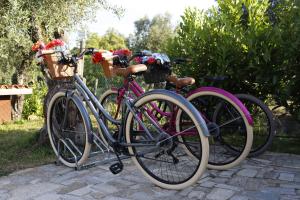 Cycling sa o sa paligid ng Ternaldo Agroturismo & Relax