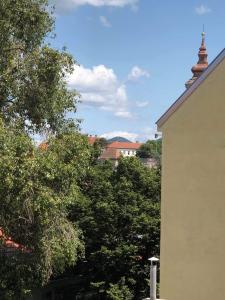 Fotografia z galérie ubytovania Palace - Belvárosi Apartman Eger v destinácii Eger
