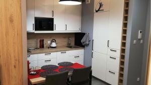 Kuchyňa alebo kuchynka v ubytovaní Apartament Bielany Oczapowskiego