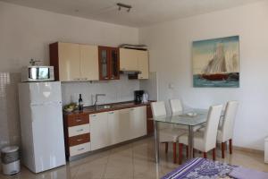 Küche/Küchenzeile in der Unterkunft Apartments Sanja
