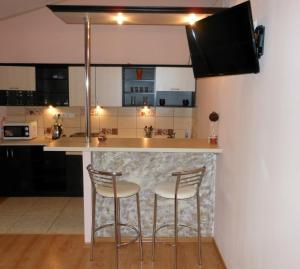 Kuchyň nebo kuchyňský kout v ubytování Studio apartments in center NEW 5 floor Без ліфту