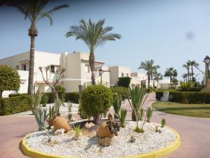 a garden with cactuses and palm trees in front of a building at Bahía de Vera Apartamento Hibiscus in Vera