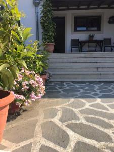 Gallery image of Stavroula's House in Skiathos Town +29 photos